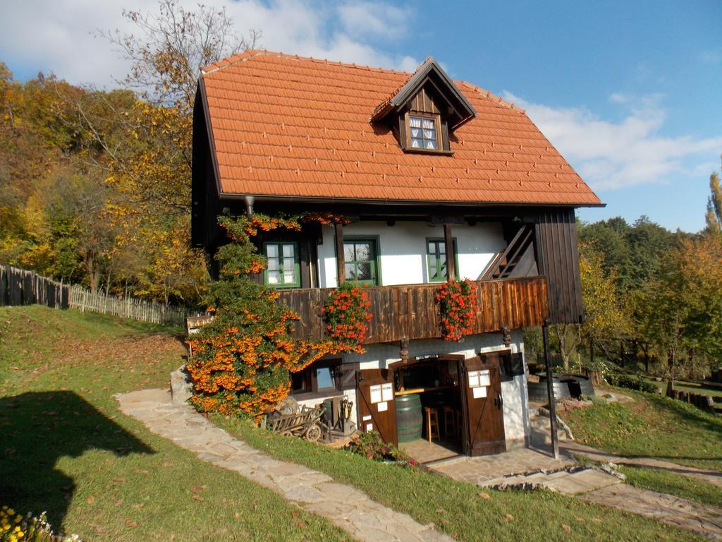 Apartmani Etno Kuca Pod Okicem Самобор Номер фото