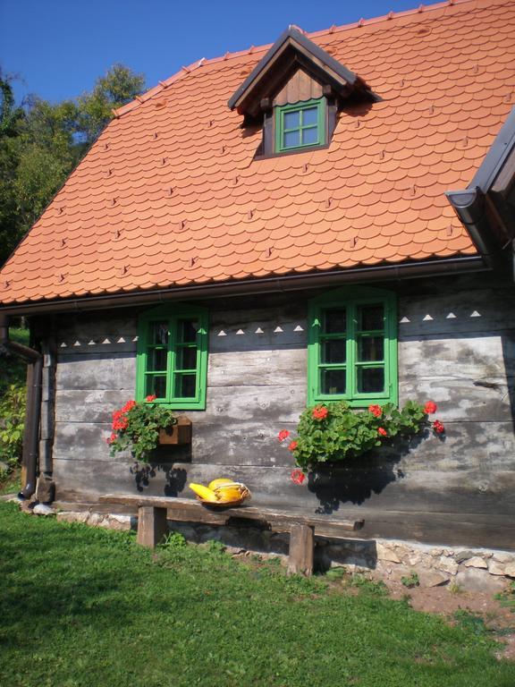 Apartmani Etno Kuca Pod Okicem Самобор Номер фото