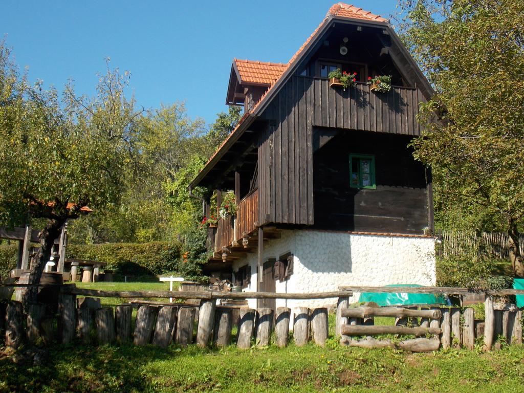 Apartmani Etno Kuca Pod Okicem Самобор Номер фото
